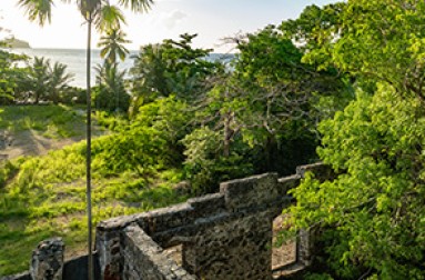 a stone wall with trees and water in the background