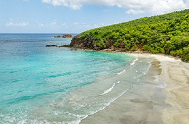 a beach with a hill and trees