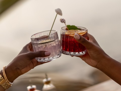 two hands holding glasses with drinks