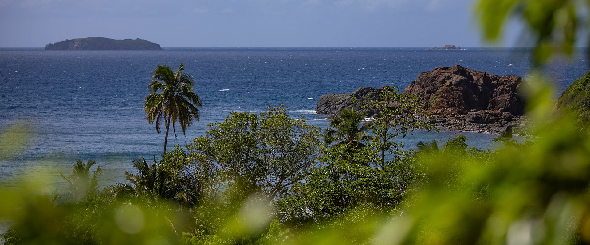 a view of the ocean from a hill