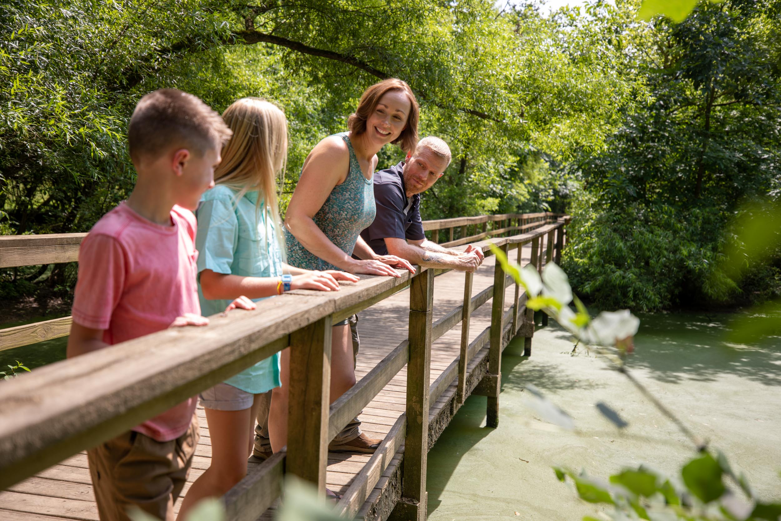 a group of people standing on a bridge over water