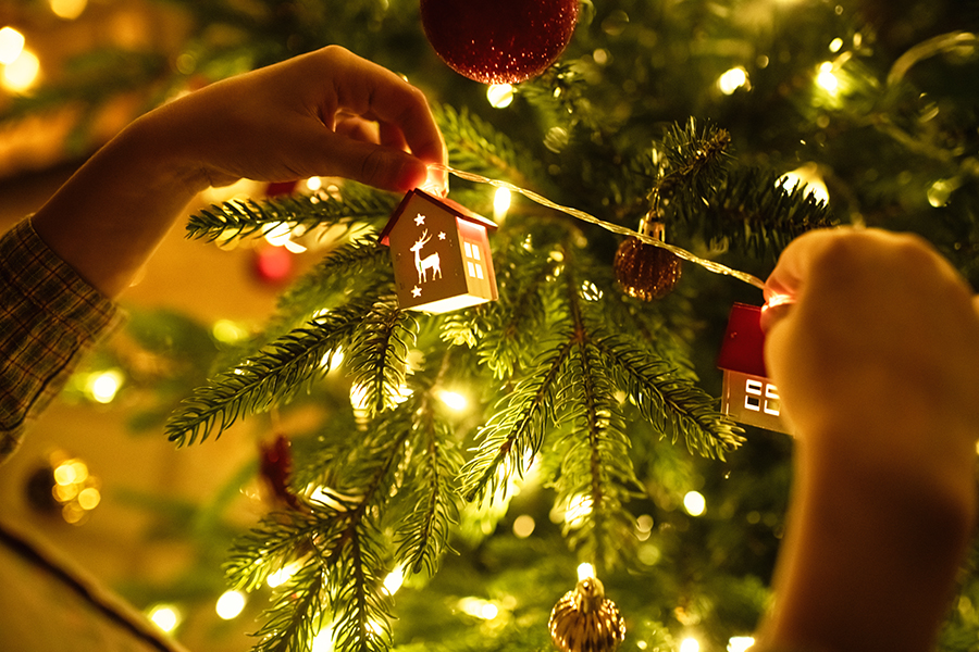 a person holding a string of lights on a christmas tree