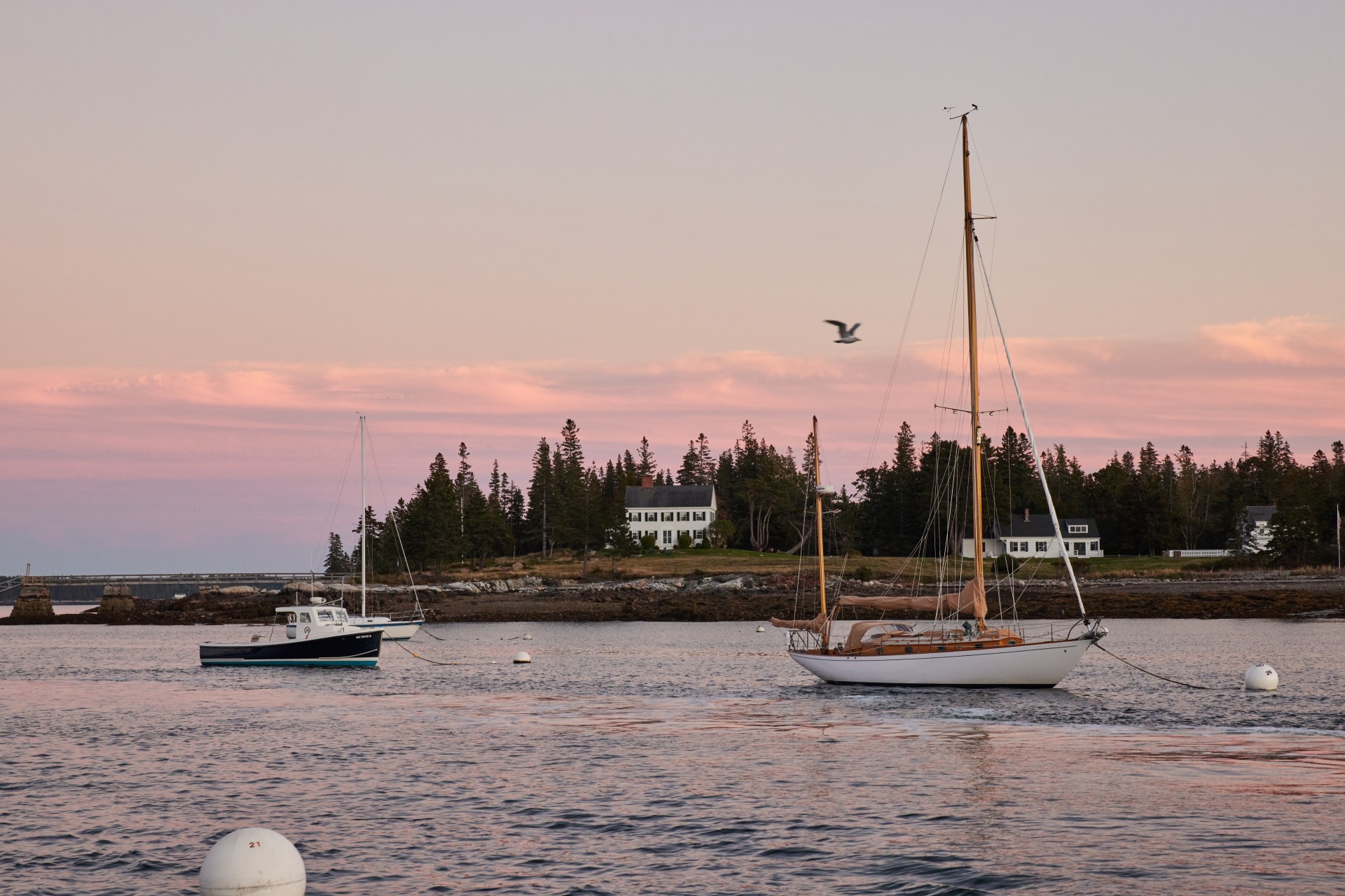 a group of boats on water