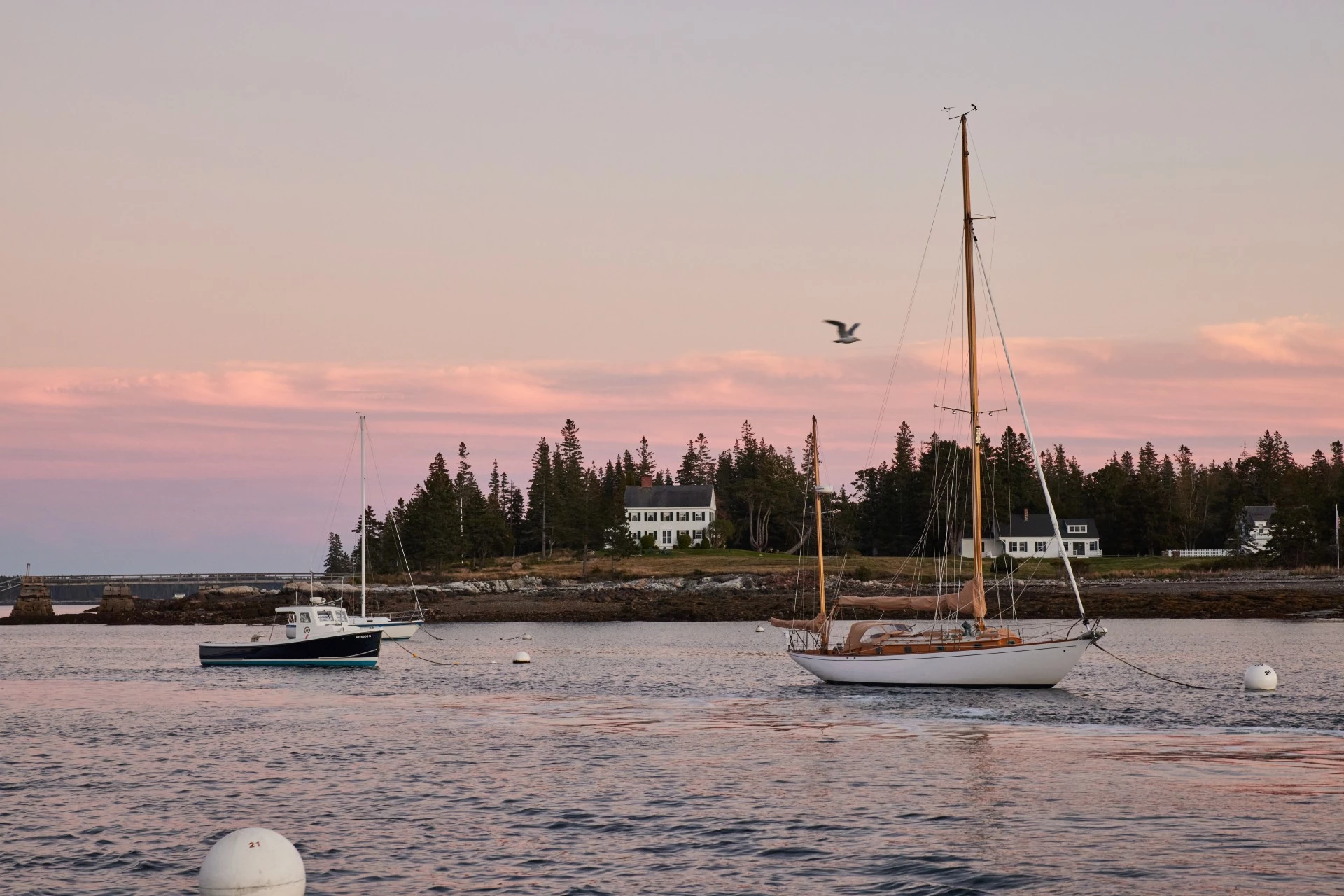 a group of boats on water