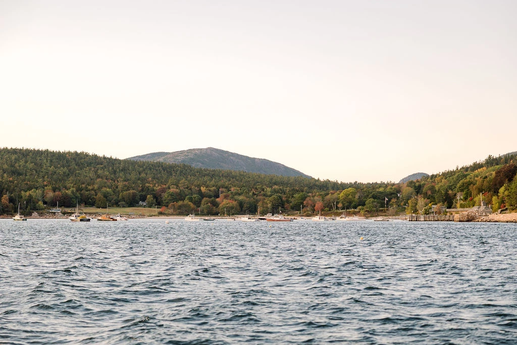 a body of water with trees and mountains in the background