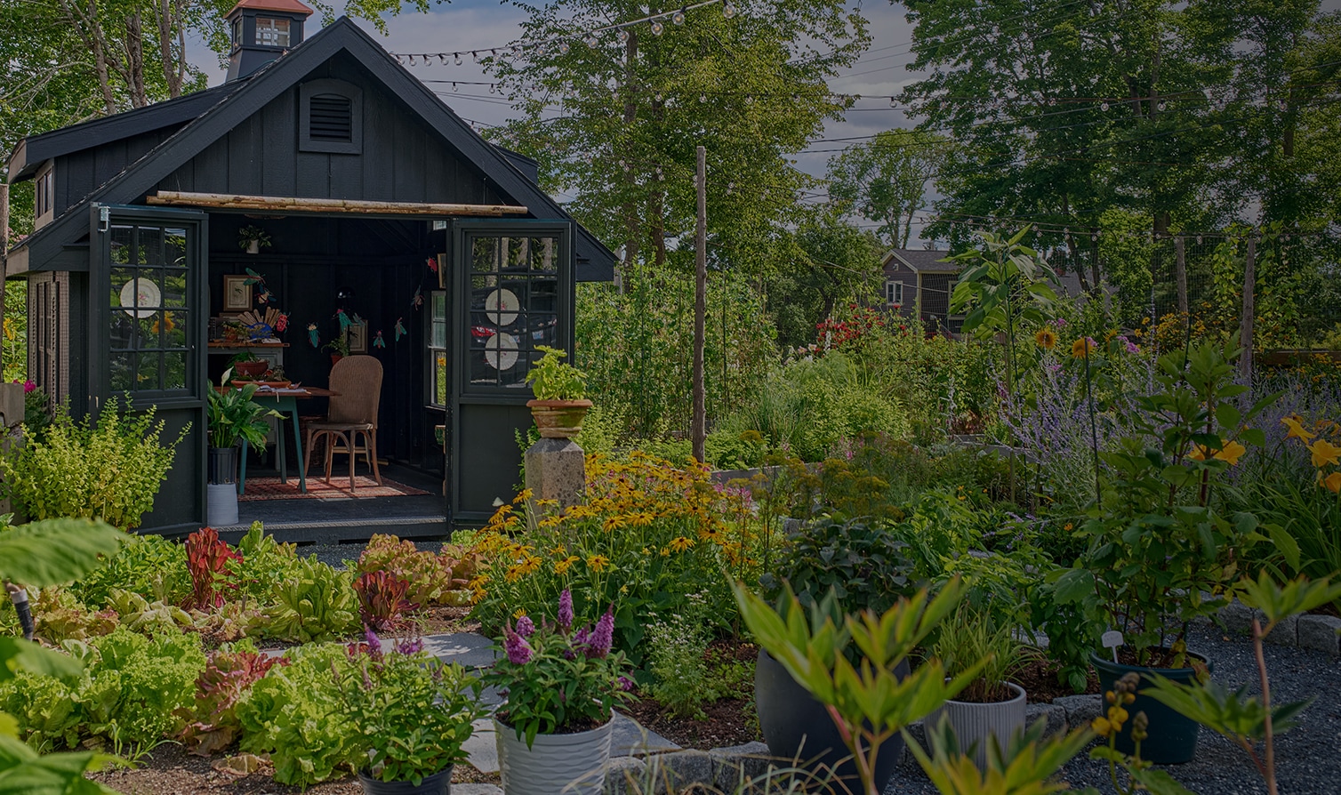a garden with plants and a shed