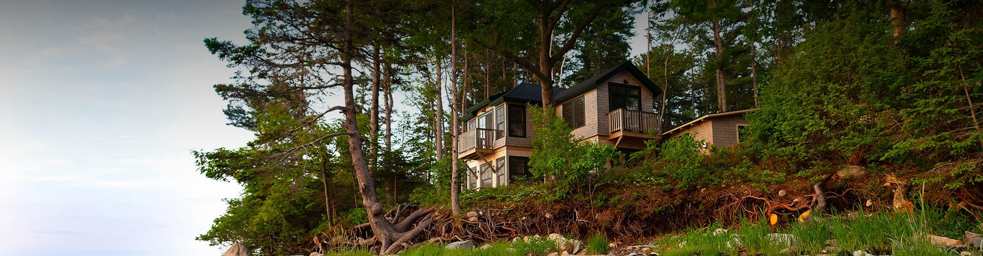 a house with trees around it