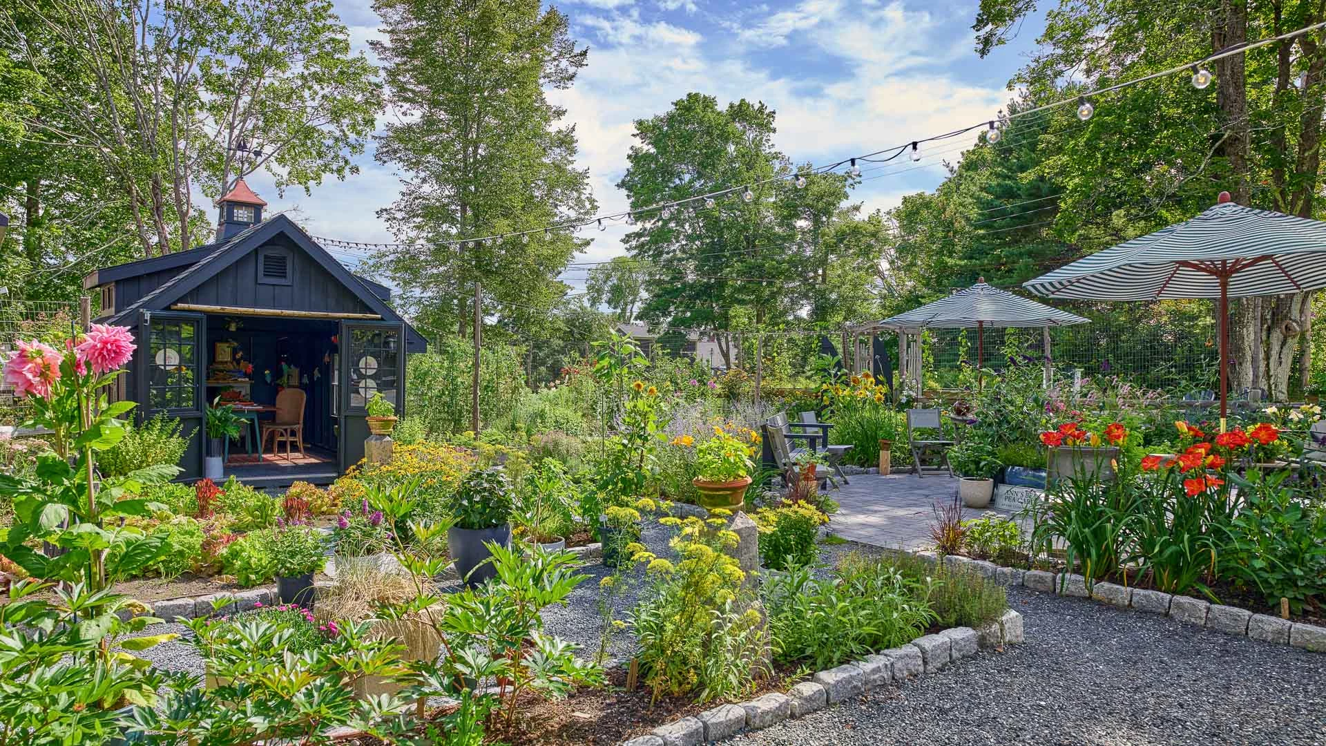 a garden with plants and a gazebo