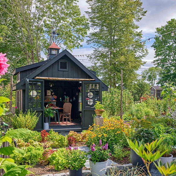 a small shed with a garden