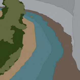 a river flowing through a forest