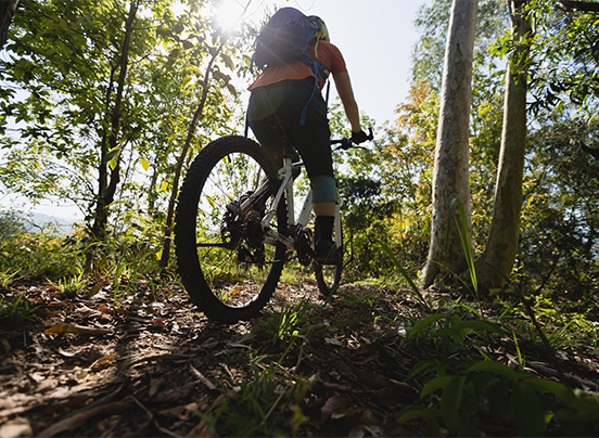a person riding a bicycle in the woods