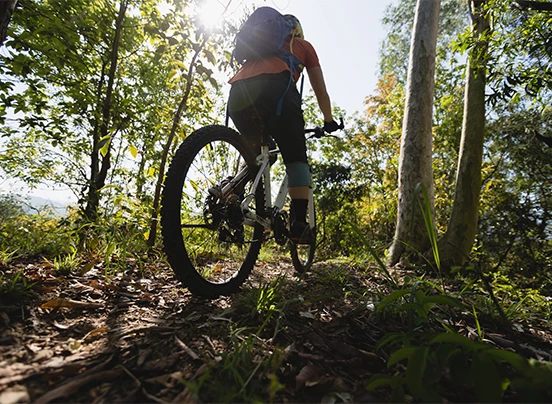 a person riding a bicycle in the woods