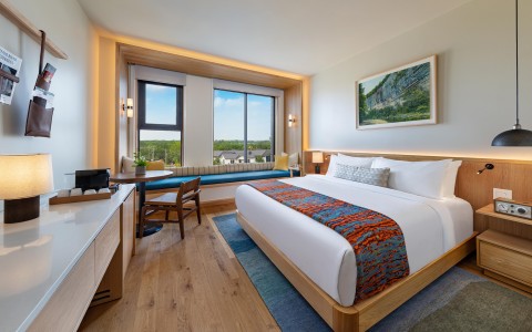 a room with a bed and a desk