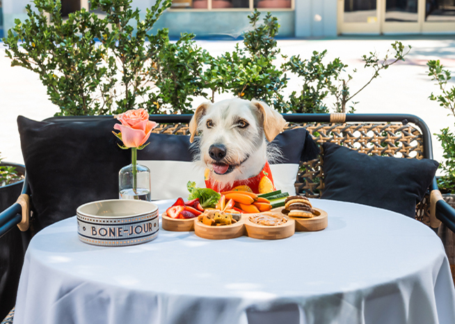 a dog sitting at a table with food on it