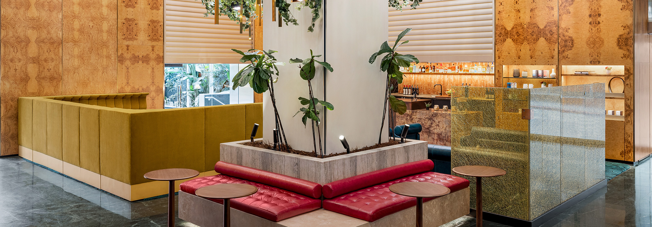 a plant in a planter