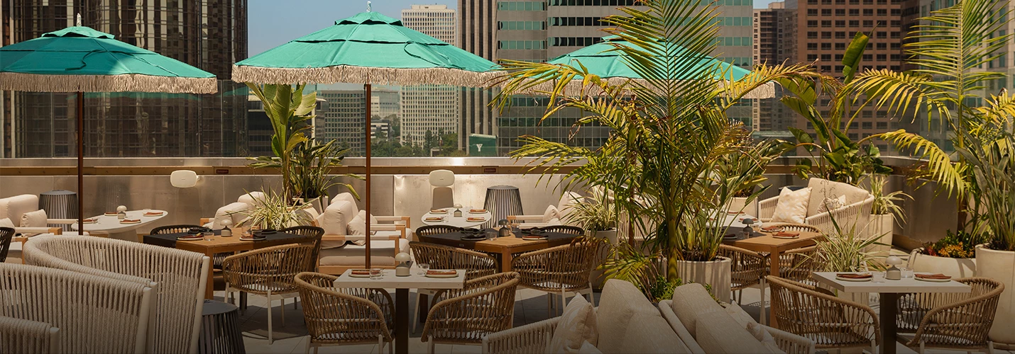 A rooftop dining area with tables, chairs, umbrellas, and plants overlooking the city.