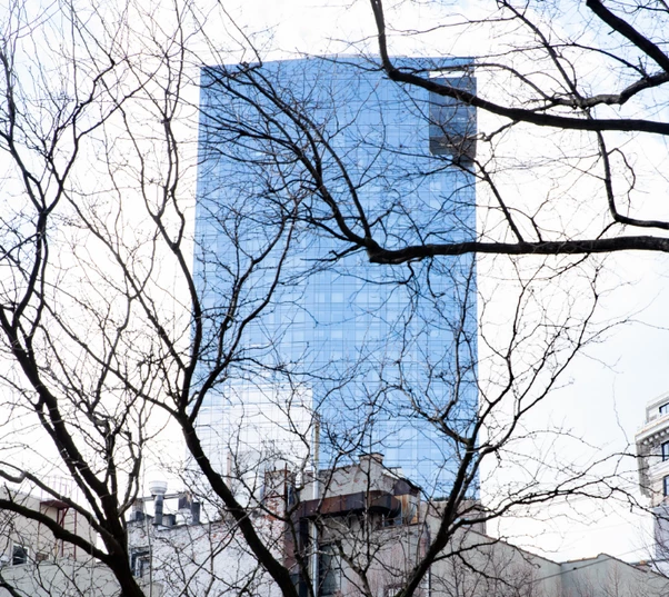 a tree branches with a building in the background