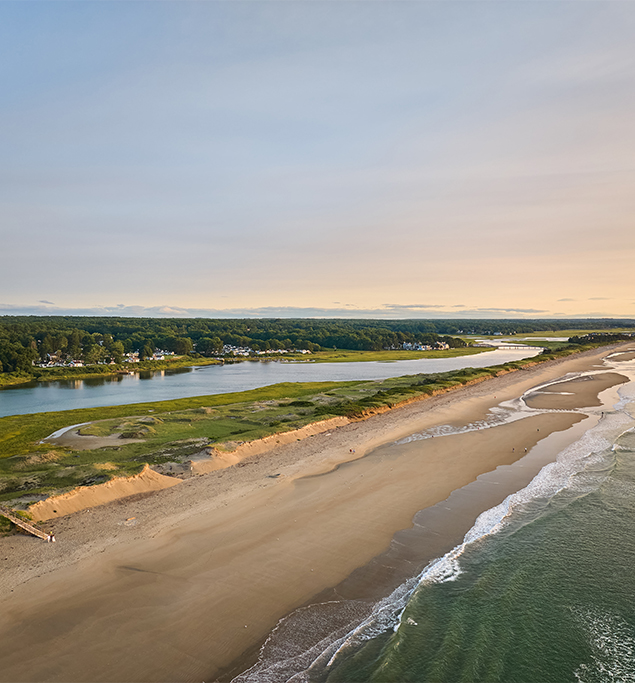 a beach with water and trees