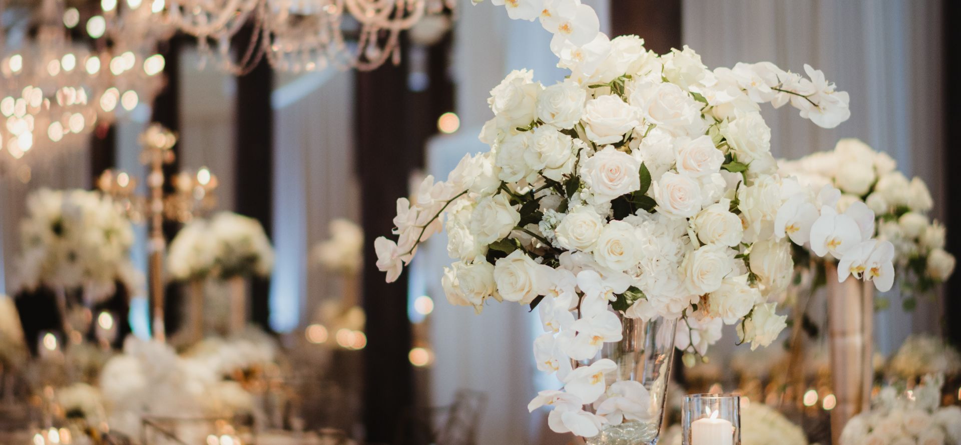 a vase of white roses