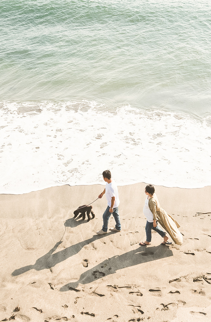 a man and woman walking a dog on a beach