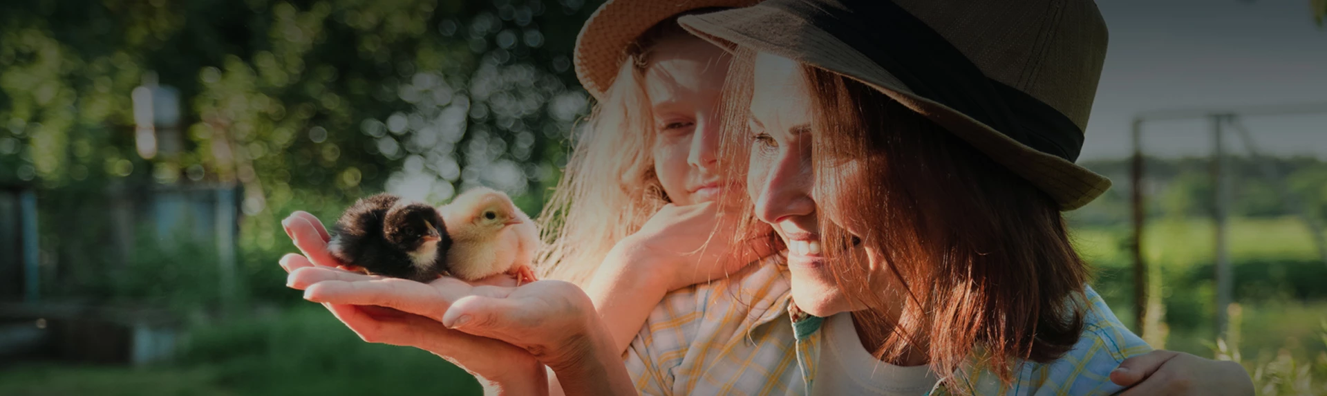Two baby chicks being held by a lady and a little girl smiling.