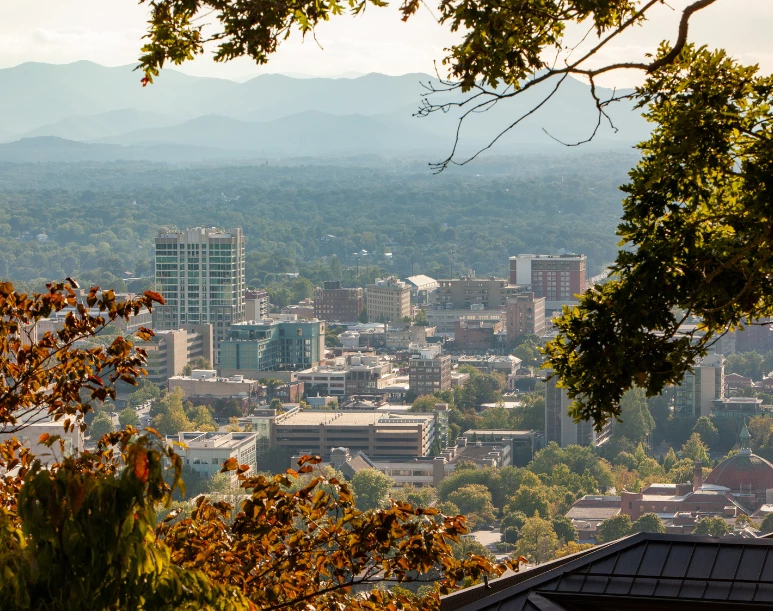 a city with trees and mountains in the background