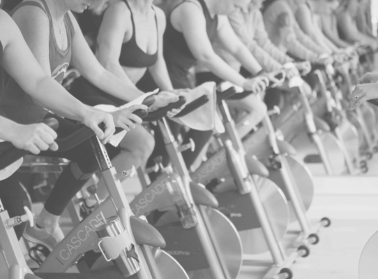 a group of people on exercise bikes