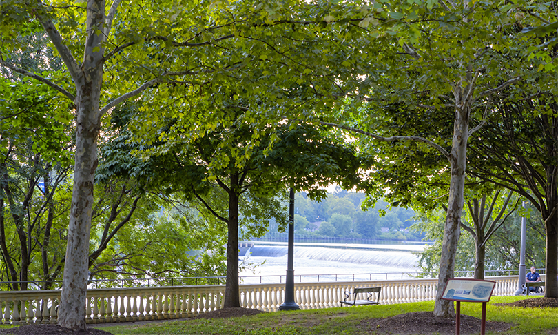 Post image for a bench and trees by a river