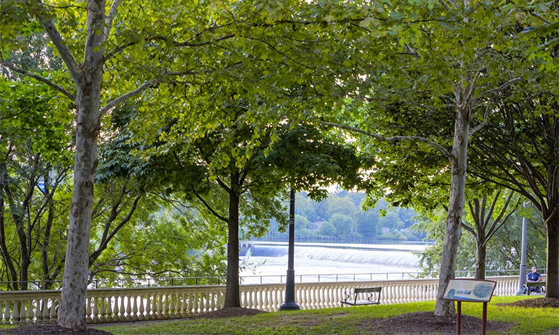 Post image for a bench and trees by a river