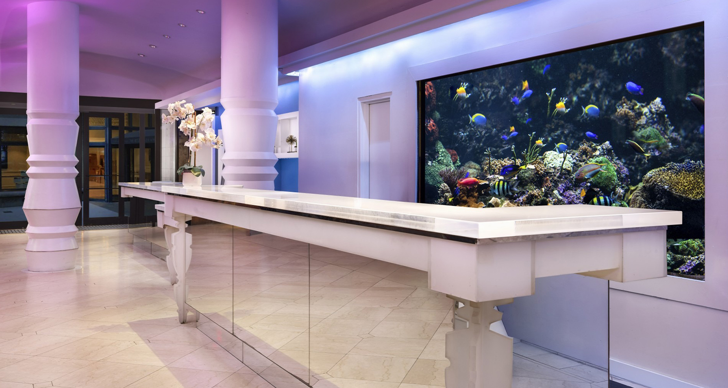 a large aquarium on a white counter