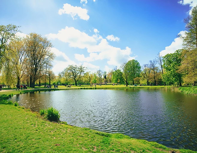 a body of water with grass and trees around it
