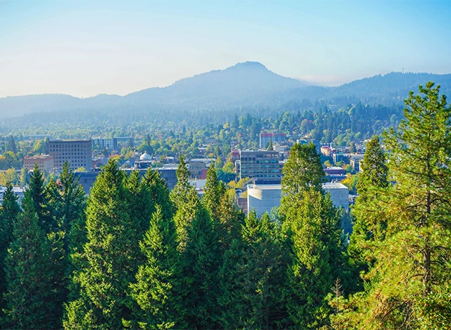 a city with trees and mountains in the background