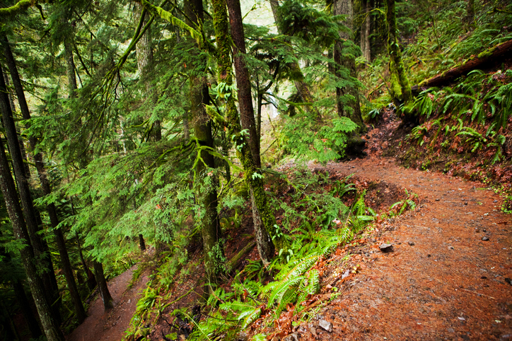 Columbia River Gorge