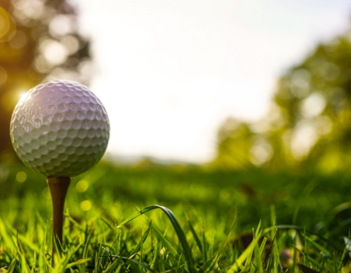 a golf ball on a tee in grass