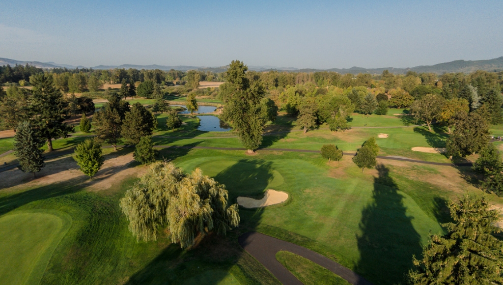 a golf course with trees and a pond