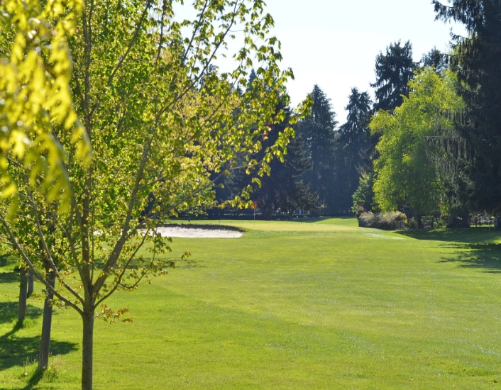 a golf course with trees and a sand trap