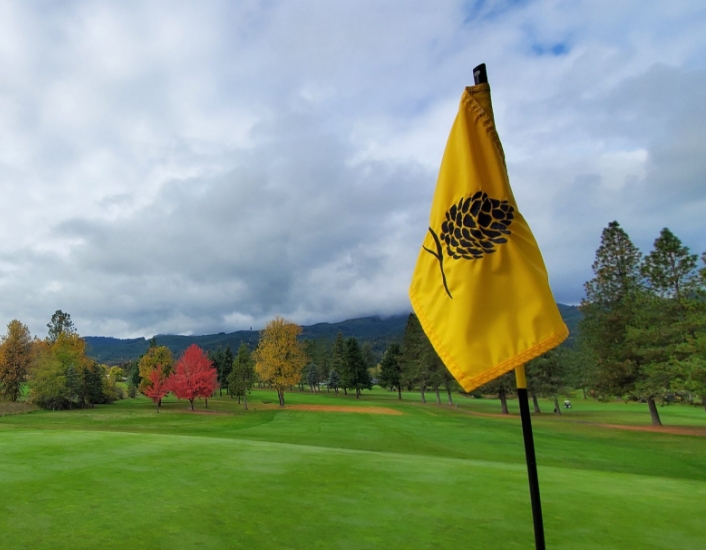 a flag on a golf course