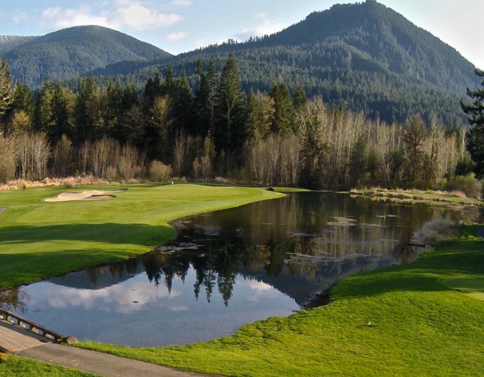 a pond in a golf course