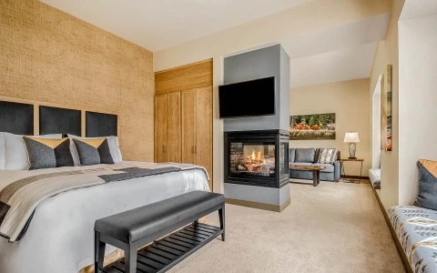 a bedroom with a fireplace