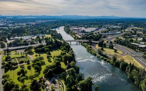 aerial view of a river with a bridge and trees