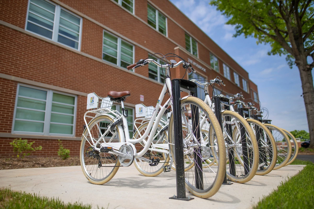 a row of bicycles parked in front of a building