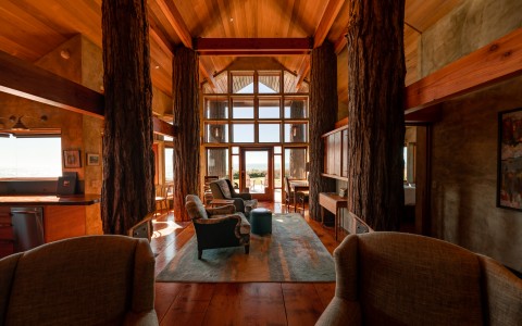 a room with a large tree trunk and chairs