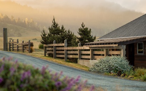 a house with a fence and bushes