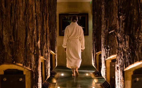 a person walking down a walkway with trees