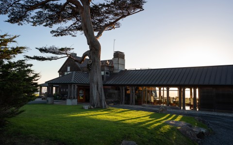 a building with a tree in front of it