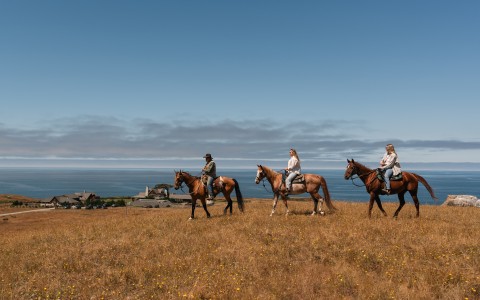 a group of people riding horses in a field