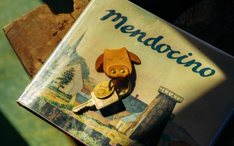 a key chain on a book