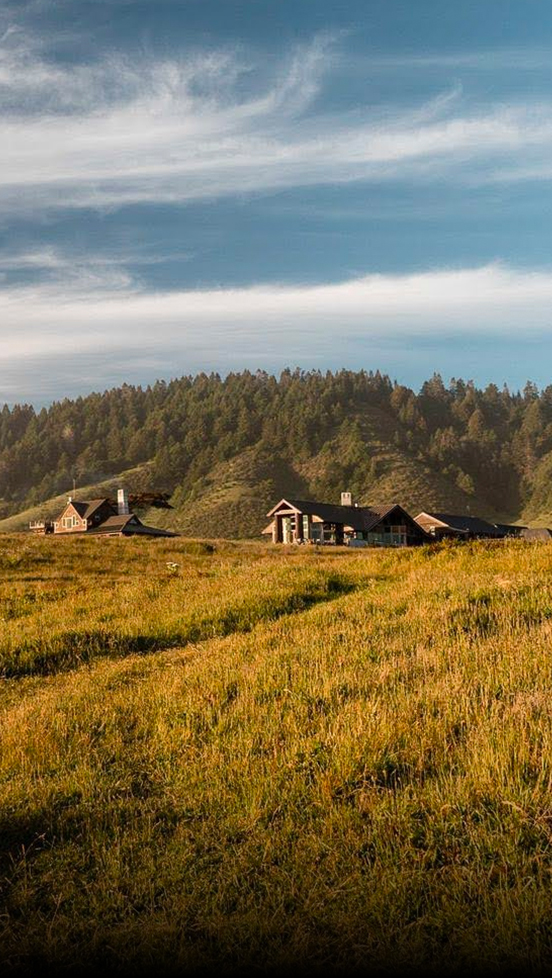 a grassy field with houses in the background