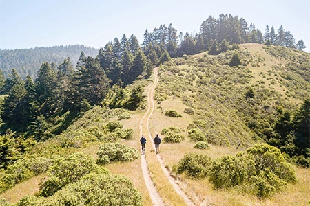 two people walking on a trail