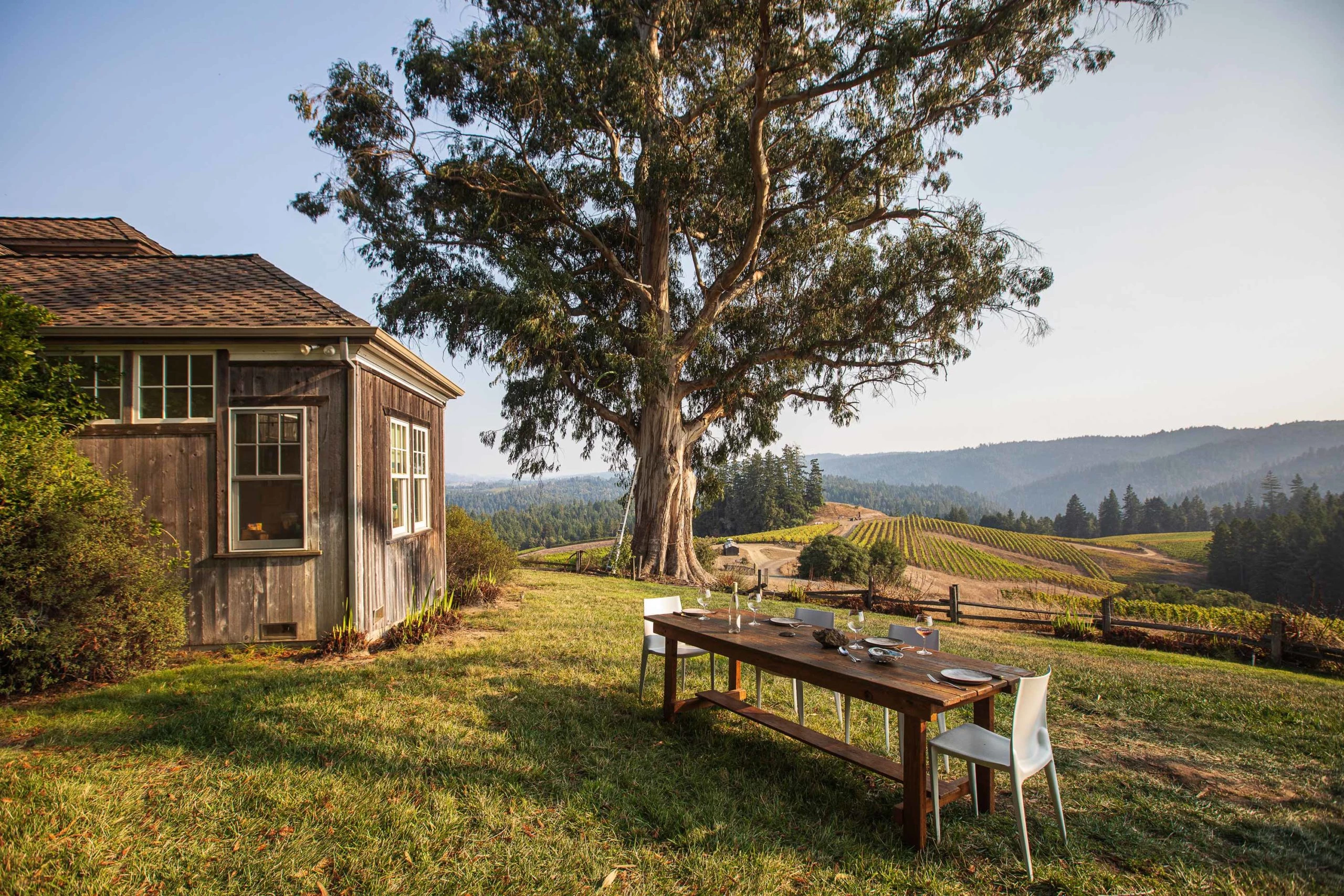 a table and chairs in front of a tree